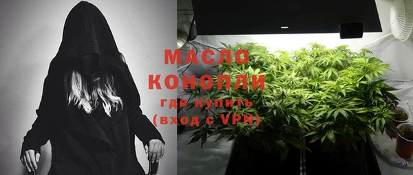 стаф Гусев
