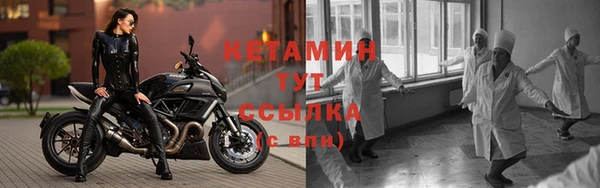 шишки Гусь-Хрустальный
