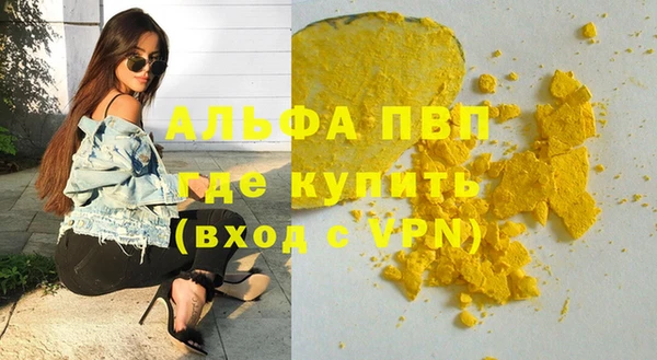 шишки Гусь-Хрустальный