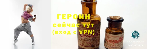 стаф Гусев