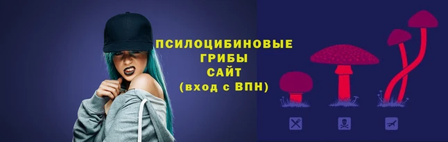стаф Гусев