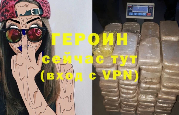 стаф Гусев