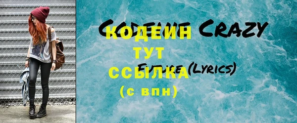 шишки Гусь-Хрустальный