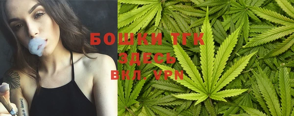 марки lsd Гусиноозёрск