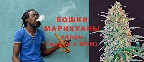 стаф Гусев