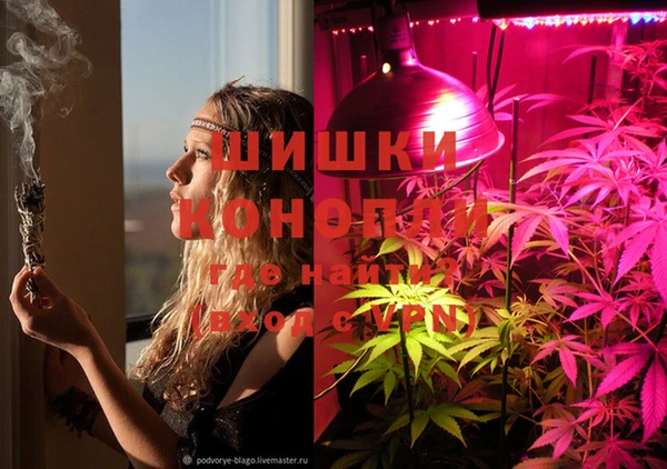 марки lsd Гусиноозёрск